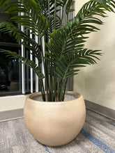 Charger l'image dans la galerie, Large gold cement round planter with a smooth finish, holding a tall artificial palm plant with lush green leaves, placed indoors near a window. Is planter durable enough for heavy plants?