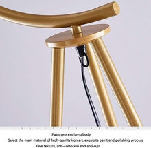 Charger l'image dans la galerie, Close-up of a gold-painted floor lamp frame, showcasing its smooth iron art structure and polished finish. The lamp's sturdy build features anti-corrosion and anti-rust properties, emphasizing the high-quality craftsmanship.