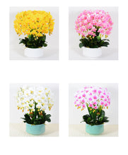 Load image into Gallery viewer, Real touch Artificial Orchid Flower Arrangement (10 stems )