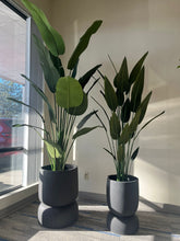 Charger l'image dans la galerie, Pair of tall black stackable planters with a smooth matte finish, each holding artificial plants with large green leaves, placed indoors near a window with natural light. Are these planters made from lightweight materials for easy mobility?