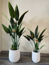 Charger l'image dans la galerie, White planters with a unique textured design resembling craters, each holding artificial bird of paradise plants with vibrant green leaves and orange flowers, placed indoors on a carpeted floor. Are these planters weather-resistant for outdoor use?