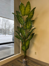 Load image into Gallery viewer, A tall, lush artificial plant with broad green leaves featuring yellow variegation is elegantly placed in a sleek, round white pot. Positioned next to a cozy white armchair, this setup adds a fresh and vibrant touch to the room's decor.