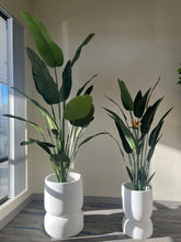 Charger l'image dans la galerie, Pair of tall white stackable planters with a smooth matte finish, each holding artificial plants with large green leaves, placed indoors near a window with natural light. Are these planters made from lightweight materials for easy mobility?"