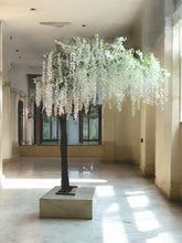 Charger l'image dans la galerie, Elegant 8ft White Wisteria Tree for Event and Indoor Decor - Realistic Artificial Tree with Cascading White Flowers and Sturdy Trunk.