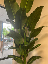 Load image into Gallery viewer, A large artificial bird of paradise plant with lush, vibrant green leaves, placed in a sleek white round planter in the corner of a modern office space near a window