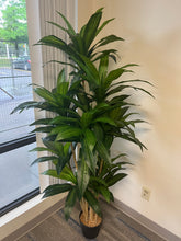 Load image into Gallery viewer, Artificial Yucca plant - 6'
