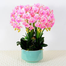 Load image into Gallery viewer, A lush arrangement of artificial pink orchids with yellow buds in a simple white pot, featuring vibrant green leaves and small succulents. What are the best tips for maintaining artificial flowers to keep them looking fresh?