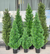 Charger l'image dans la galerie, Collection of artificial evergreen trees in varying sizes, all potted in black containers, arranged outdoors against a window, ideal for creating a lush, natural ambiance in any setting.
