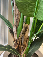 Load image into Gallery viewer, Close-up view of the base of an artificial bird of paradise plant, showing the detailed texture of the faux bark and vibrant green stems, placed in a white round planter in an office setting.