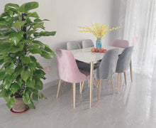 Load image into Gallery viewer, Modern Light Grey Velvet dinning chair