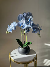 Charger l'image dans la galerie, Real touch artificial orchid Arrangement
