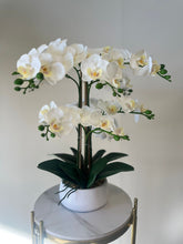 Load image into Gallery viewer, White orchids floral arrangements