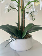 Load image into Gallery viewer, White orchids floral arrangements