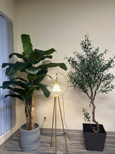 Charger l'image dans la galerie, Square Resin Planter