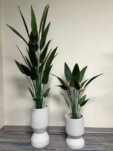 Charger l'image dans la galerie, white ribbed cylindrical planters with a modern textured design, displayed empty indoors near a window on a carpeted floor. Are these planters suitable for heavy plants?