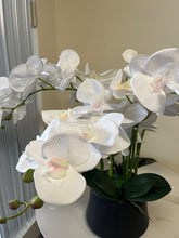 Load image into Gallery viewer, Artificial Orchid with Black Vase- White