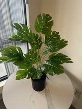 Load image into Gallery viewer, Artificial plant - 28" (Monstera plant)