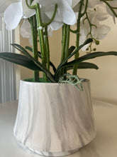 Load image into Gallery viewer, Real touch artificial White orchid Arrangement (6 Stems)