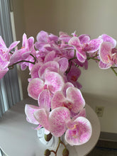 Load image into Gallery viewer, Real touch artificial Purple orchid Arrangement (6 Stems)