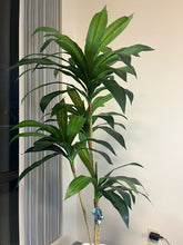 Load image into Gallery viewer, Artificial Yucca plant - 5ft