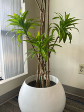 Charger l'image dans la galerie, Artificial Yucca Plant- 6ft