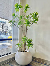 Charger l'image dans la galerie, Artificial Yucca Plant- 7ft