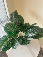 Charger l'image dans la galerie, Artificial Plant- 24" (Pinstripe Plant)