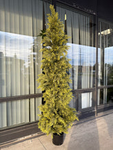 Charger l'image dans la galerie, Artificial Cedar tree with UV resistance -8'
