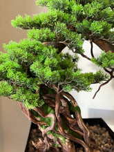Load image into Gallery viewer, Artificial Bonsai Tree