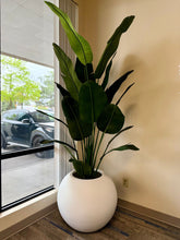 Charger l'image dans la galerie, Oversize White Fiberglass Globe Pot (21" H x 25" W)