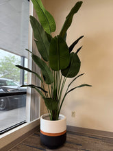 Charger l'image dans la galerie, Elegant Tricolor Plant Pots