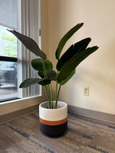 Charger l'image dans la galerie, Elegant Tricolor Plant Pots