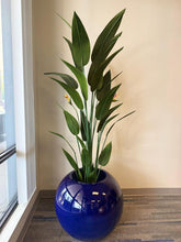 Charger l'image dans la galerie, Big Round Black Fiberglass Planter (23"H x 33"W)