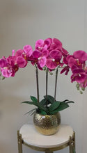 Load and play video in Gallery viewer, Real touch artificial orchid Arrangement