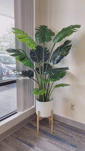 Load and play video in Gallery viewer, Artificial Monstera Plant ( Home) (5')