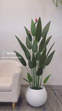 Load and play video in Gallery viewer, Artificial Bird of Paradise - 5.3'