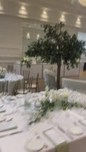 Charger et lire la vidéo dans la visionneuse de la Galerie, 10ft Ficus trees rental