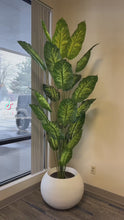 Load and play video in Gallery viewer, Artificial Dieffenbachia plant - 8'