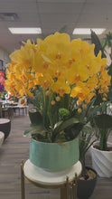 Load and play video in Gallery viewer, A vibrant arrangement of artificial yellow orchids with realistic petals and buds, displayed in a white ceramic pot. How can I keep artificial flowers looking fresh over time?