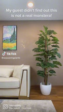 Charger et lire la vidéo dans la visionneuse de la Galerie, Plante Monstera Artificielle (6.5')