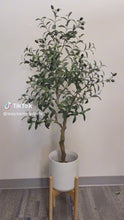 Load and play video in Gallery viewer, Artificial Olive Tree - 4'