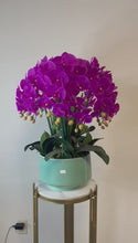 Load and play video in Gallery viewer, Real touch Artificial Orchid Flower Arrangement (10 stems )