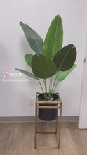 Load and play video in Gallery viewer, Artificial Bird of Paradise  - 4.3' (130cm)