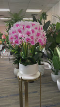 Load and play video in Gallery viewer, A beautiful artificial orchid arrangement in soft pink and white hues, set in a white ceramic pot with realistic green leaves and yellow buds. How do I maintain the freshness and appearance of artificial orchid flowers?