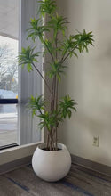 Charger et lire la vidéo dans la visionneuse de la Galerie, Artificial Yucca Plant- 6ft