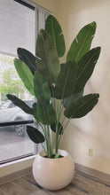 Load and play video in Gallery viewer, Artificial Bird of Paradise - 8'