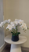 Load and play video in Gallery viewer, Artificial Orchid with Black Vase- White