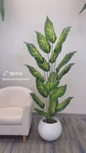 Load and play video in Gallery viewer, Artificial Dieffenbachia Plant - 7'