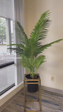 Charger et lire la vidéo dans la visionneuse de la Galerie, all artificial palm tree in a gold stand, set by a large window in a modern office space.