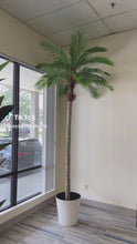 Load and play video in Gallery viewer, Artificial Palm Tree - 10'
